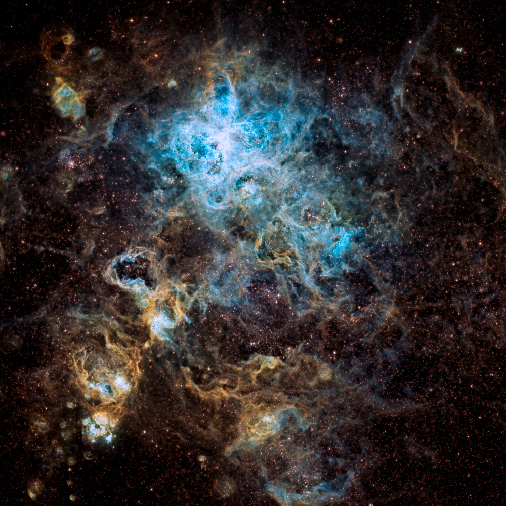 Tarantula Nebula de Vikas Chander