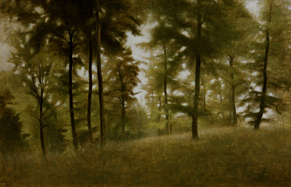 Beech Forest, Arresödal de Vilhelm Hammershoi