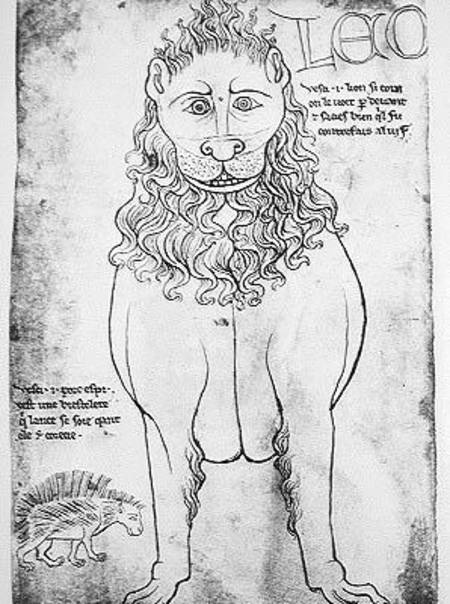 Ms Fr 19093 fol.24v Lion and Porcupine (pen & ink on paper) (facsimile) de Villard  de Honnecourt