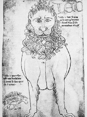 Ms Fr 19093 fol.24v Lion and Porcupine (pen & ink on paper) (facsimile)