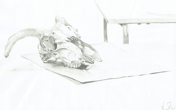 Skull de Vincent Alexander Booth