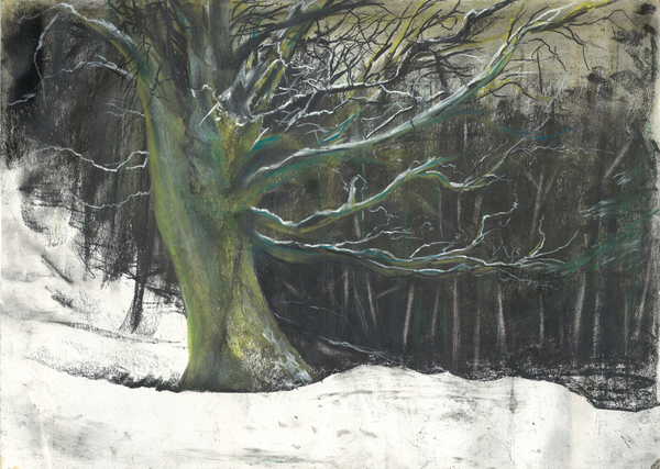 Tree in winter snow at Osmotherley woods de Vincent Alexander Booth