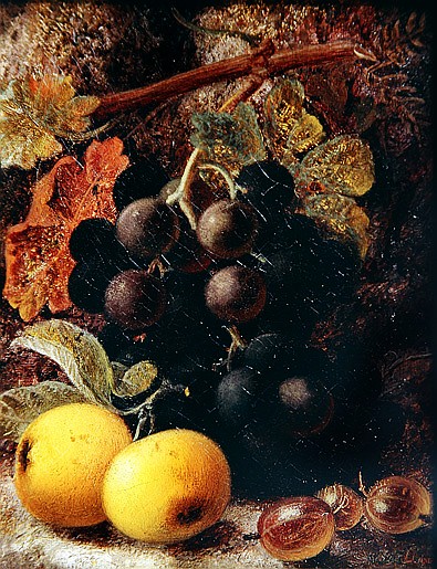Grapes, Apples and Gooseberries de Vincent Clare