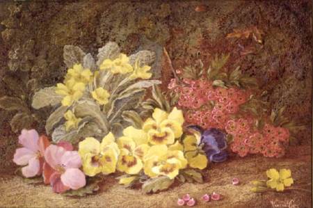 Roses and Primroses de Vincent Clare