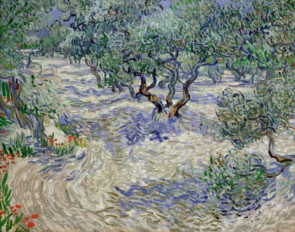 Olivenhain de Vincent Van Gogh