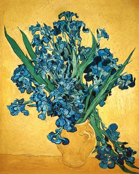 Irises de Vincent Van Gogh