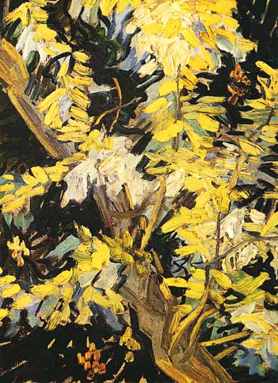 Blossoming Akazienzweig de Vincent Van Gogh