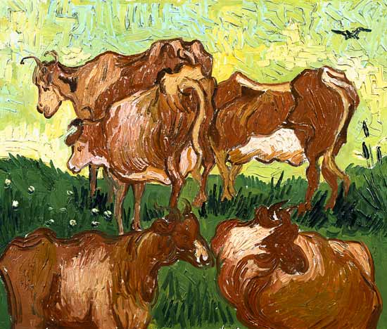 Cows (after Jordaens) de Vincent Van Gogh
