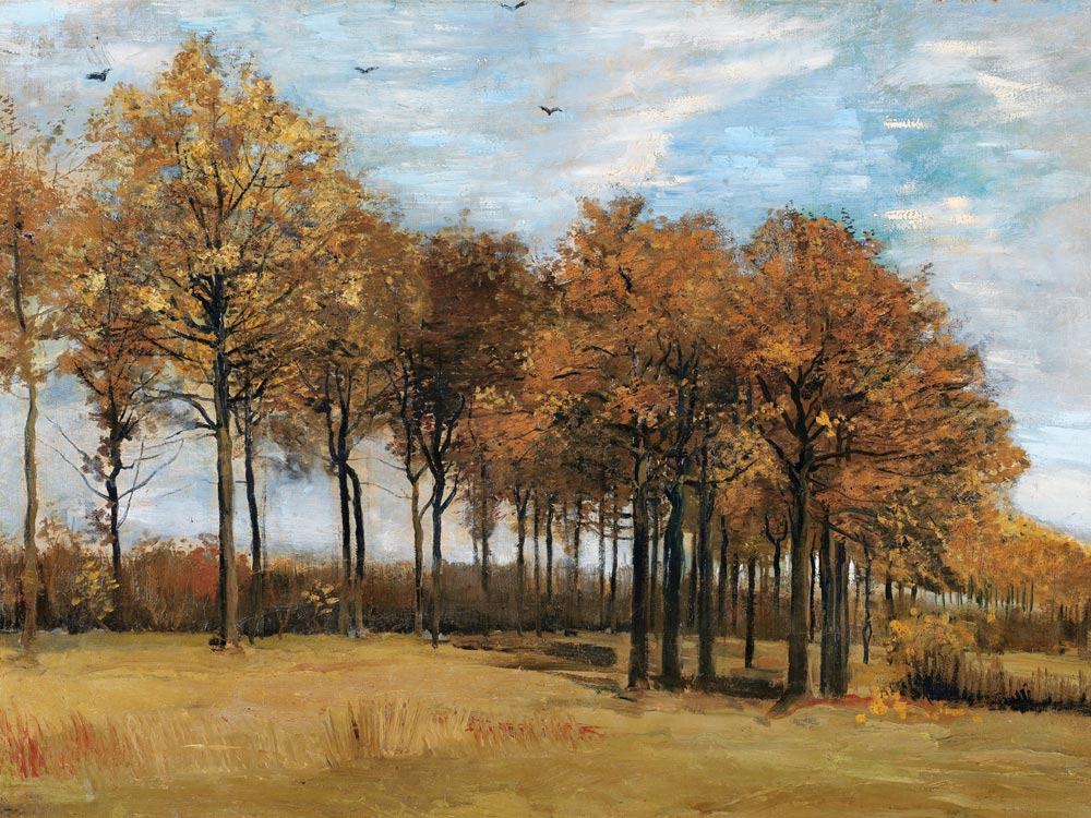 v.Gogh / Autumn landscape / Nov. 1885 de Vincent Van Gogh