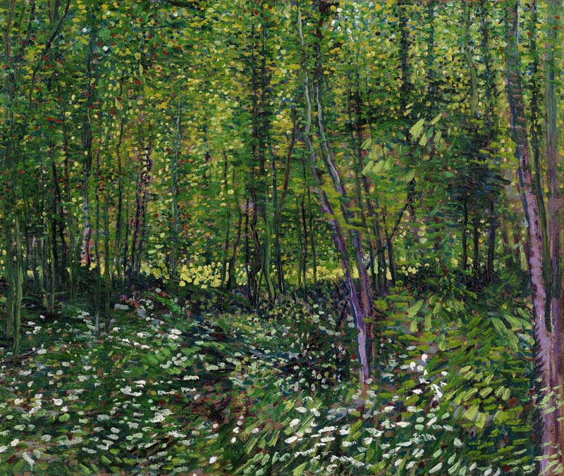 Trees and underwood de Vincent Van Gogh