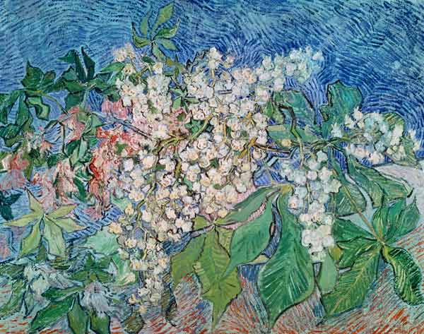 van Gogh / Blossoming Chestnut Branches de Vincent Van Gogh