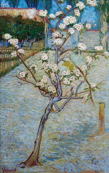 van Gogh/Blossoming pear tree/April 1888 de Vincent Van Gogh