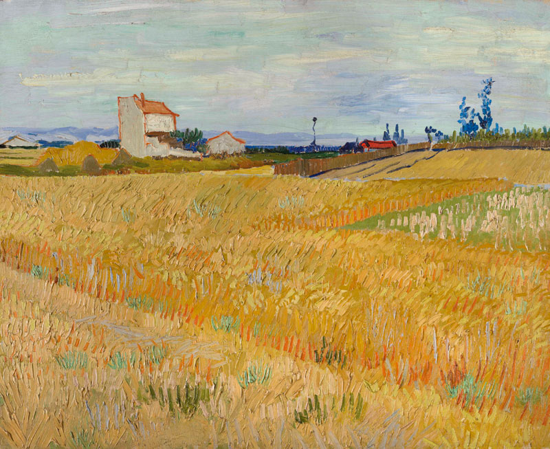 Van Gogh / Cornfield / c.1888 de Vincent Van Gogh