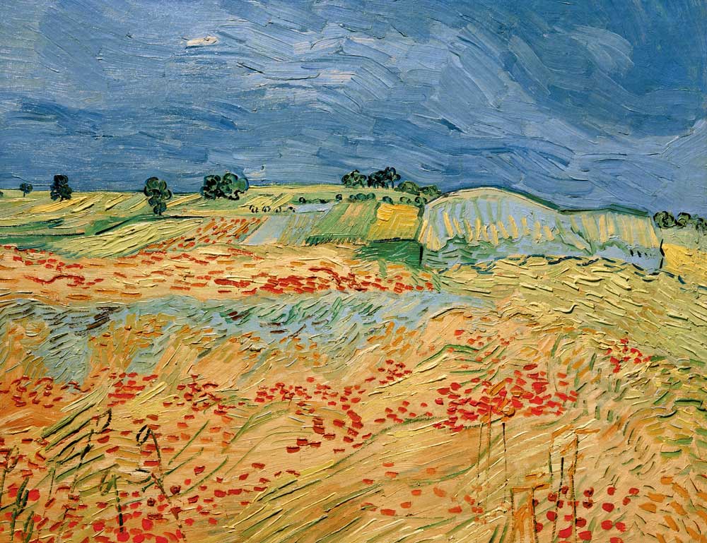 Van Gogh / Fields with Blooming Poppies de Vincent Van Gogh