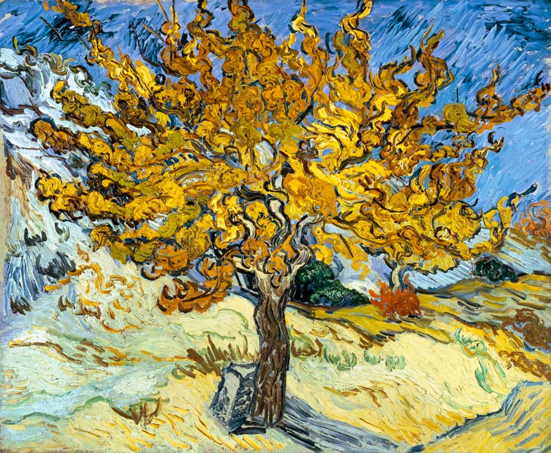 Morero de Vincent Van Gogh