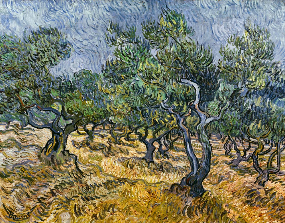 Olive grove de Vincent Van Gogh