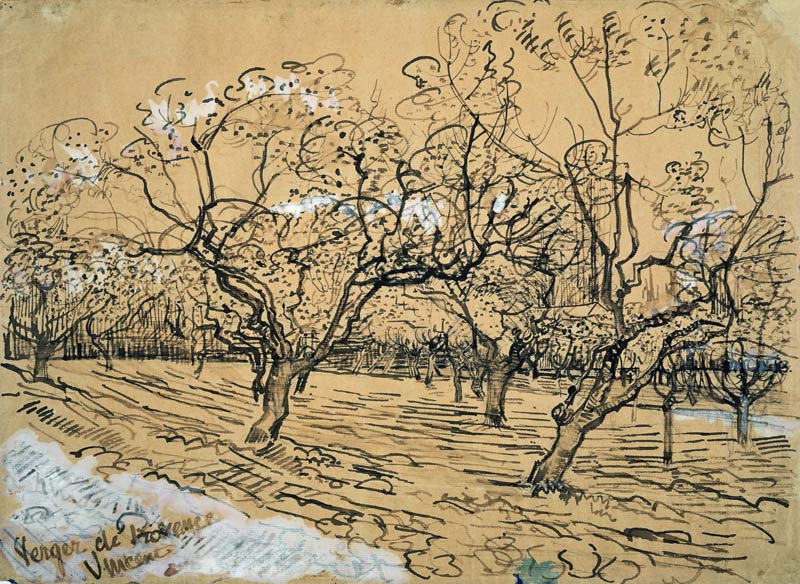 V.van Gogh, Orchard / Drawing / 1888 de Vincent Van Gogh