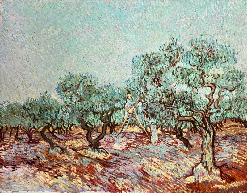 Van Gogh / The Olive Gatherers de Vincent Van Gogh