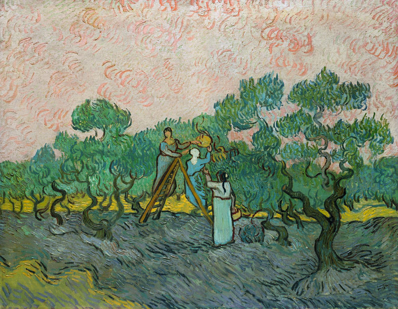 The Olive Pickers, Saint-Remy de Vincent Van Gogh