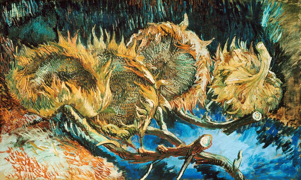 Four Withered Sunflowers de Vincent Van Gogh