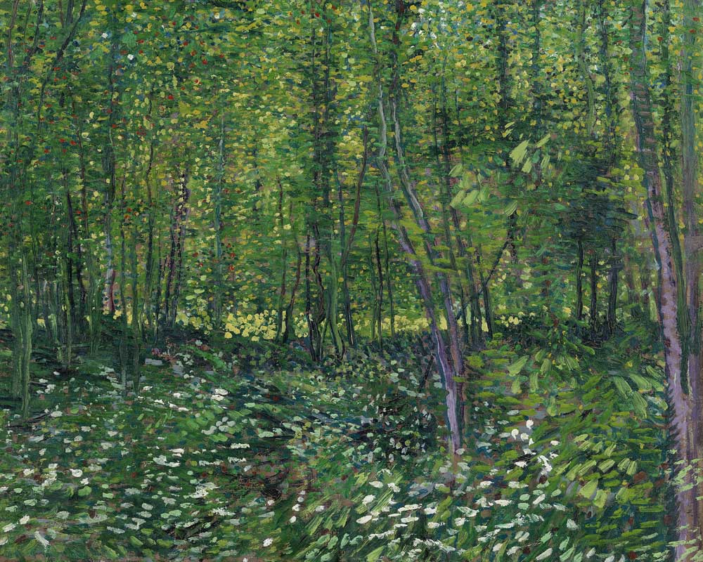 Woods and Undergrowth de Vincent Van Gogh