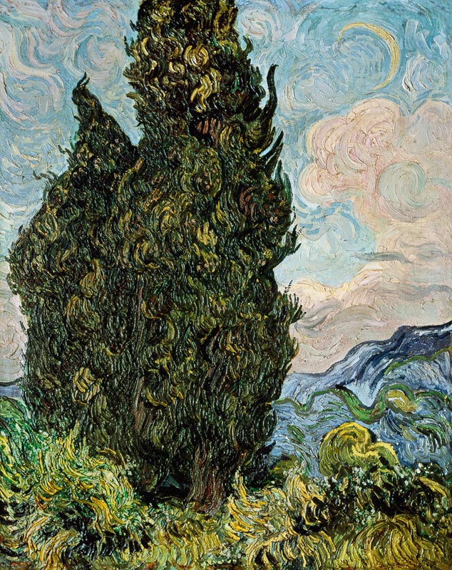 Cypresses de Vincent Van Gogh