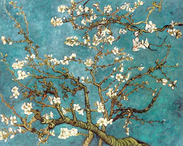 Almendro en flor (copia) - Vincent van Gogh en reproducción impresa o copia  al óleo sobre lienzo.