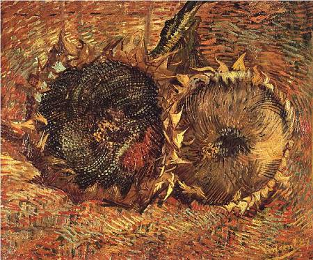Two Cut Sunflowers de Vincent Van Gogh