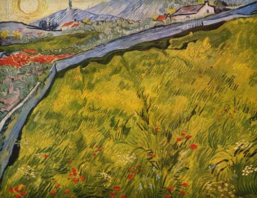 The meadow fenced in de Vincent Van Gogh