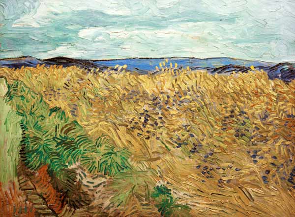 V.v.Gogh, Campo de maíz /Ptg./1890 de Vincent Van Gogh