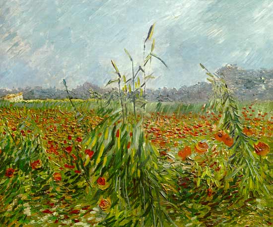Green grain stalks de Vincent Van Gogh