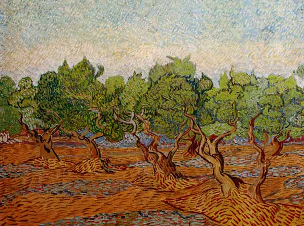 Van Gogh, Olive Grove / Paint./ 1889 de Vincent Van Gogh