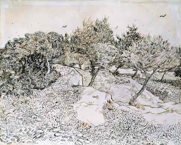 The Olive Trees (pen & ink on paper) de Vincent Van Gogh