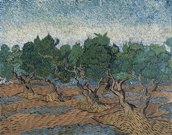 Olive grove de Vincent Van Gogh