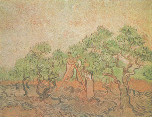 The Olive Grove de Vincent Van Gogh