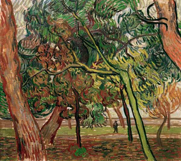 V.van Gogh, Study of Pine Trees / 1889 de Vincent Van Gogh