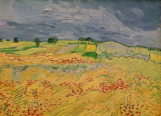 Plain at Auvers de Vincent Van Gogh