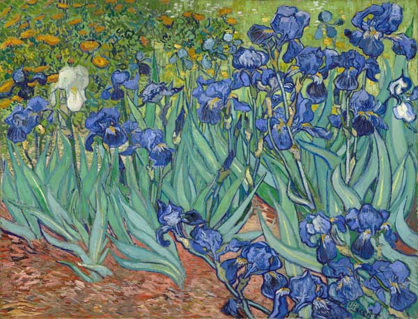 Irises de Vincent Van Gogh