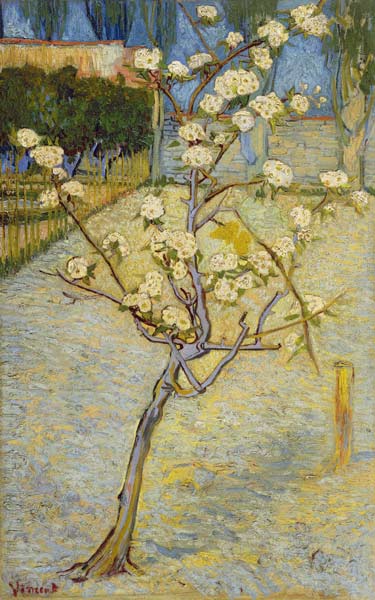 Small pear tree in blossom de Vincent Van Gogh