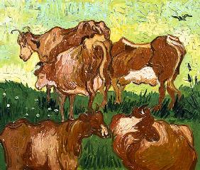 Cows (after Jordaens)