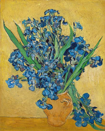 Irises 1890