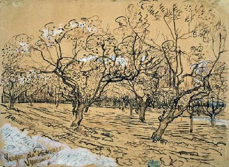 V.van Gogh, Orchard / Drawing / 1888