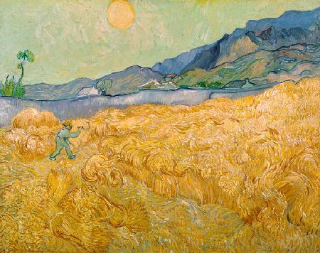 Van Gogh / Wheatfield with Reaper / 1889