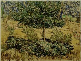 v.Gogh, Tree a.Bushes in Asylum Garden