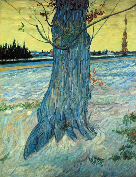 van Gogh / The Tree / 1888 de Vincent Van Gogh