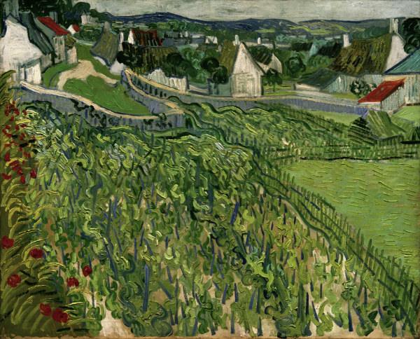 van Gogh / Vineyards at Auvers / 1890 de Vincent Van Gogh
