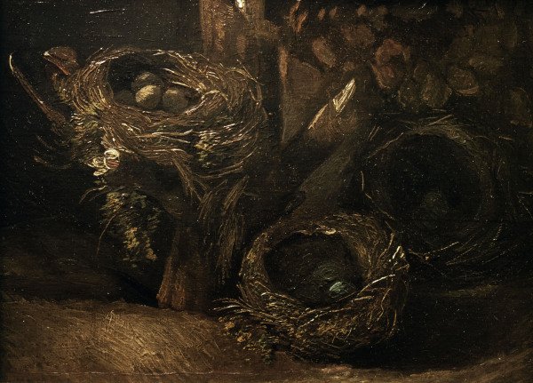 v.Gogh / Bird s nests / 1885 de Vincent Van Gogh