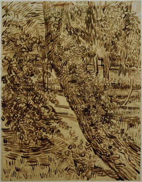 v.Gogh, Tree w.Ivy in Asylum Garden de Vincent Van Gogh