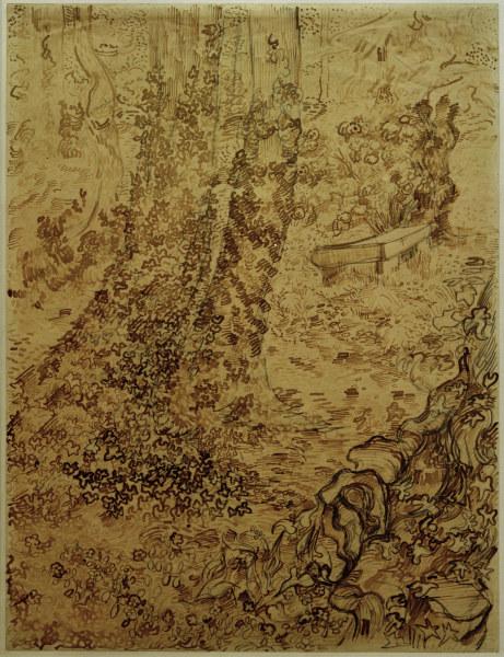 v.Gogh, Trees w.Ivy in Asylum Garden de Vincent Van Gogh