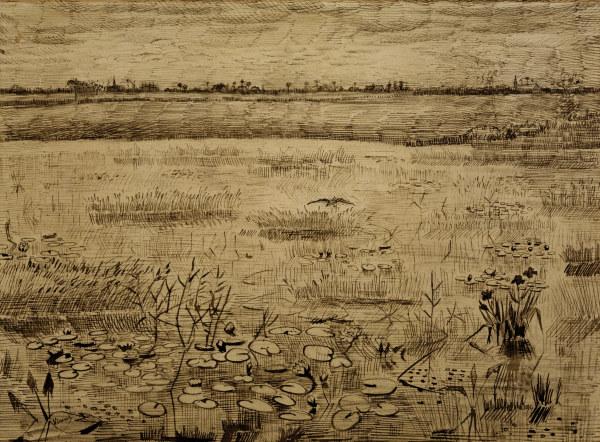 V.van Gogh, Marsh w.Water Lillies/ 1881 de Vincent Van Gogh